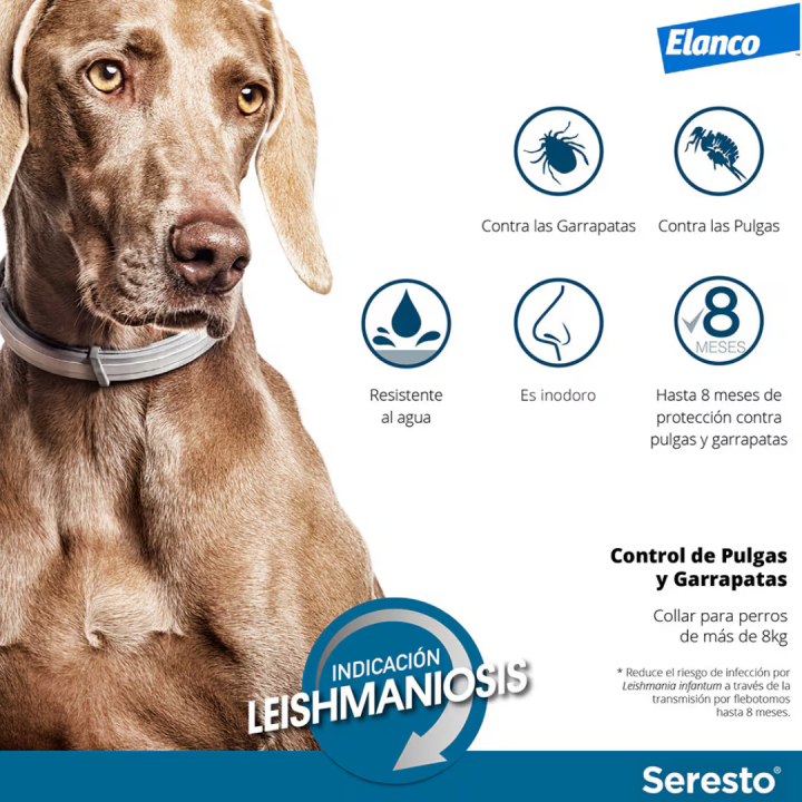 Collar seresto antiparásitos para perros más de 8 kg