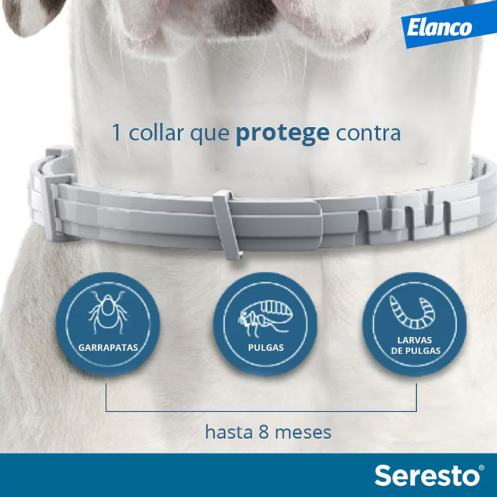 Collar Seresto antiparásitos para perros menos de 8 kg