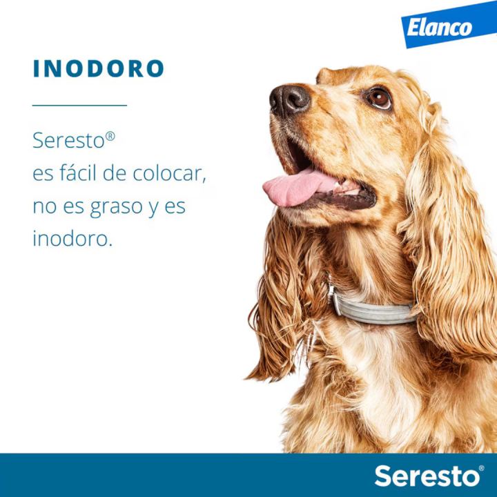 Coleira Seresto antiparásitos para cães menos de 8 kg | LaraVital