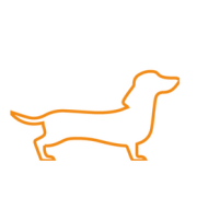 Ração para Cães Pequenos
